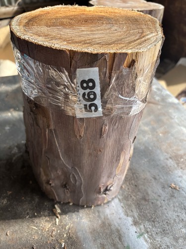 Yew wood - yew, length,yew,large