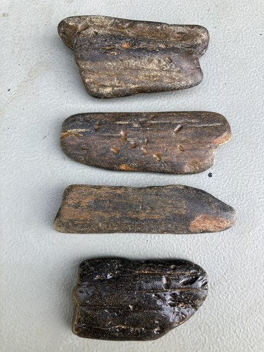 Fossilised whale bones with - 4x,