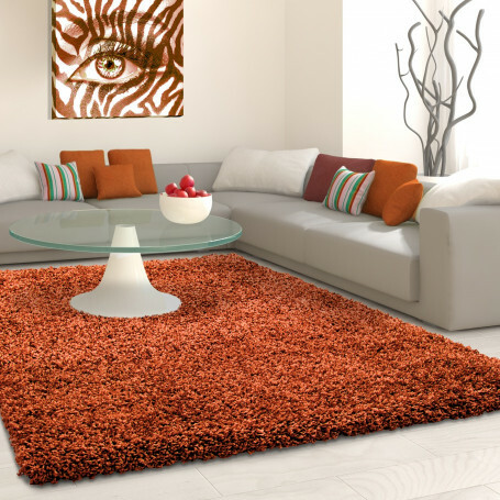 Large thick shaggy rugs - shaggy,
