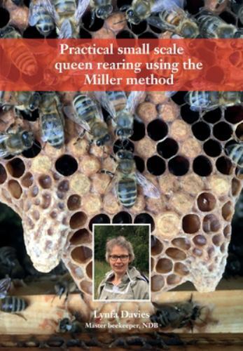 Practical small scale - scale, queen