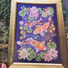 Gold flashes koi - , fish