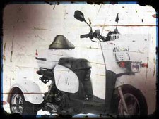 A4 photo motorbike mini cruzzer 50 trike Ice Bear