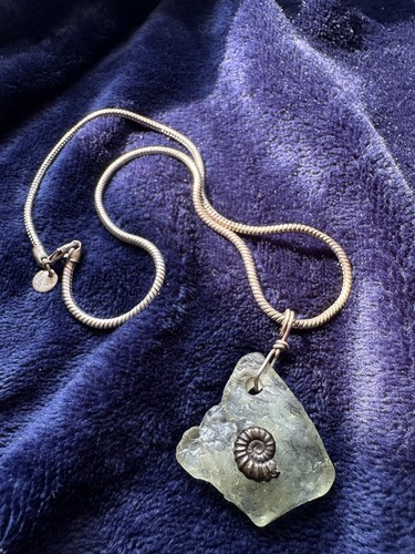 Natural fossil pendant silver - fossil,