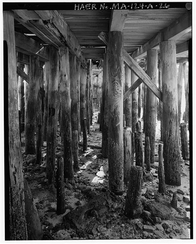 Cape cod cold - cape,