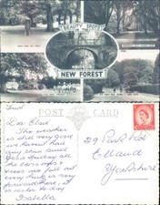 Beauty spots in the New Forest