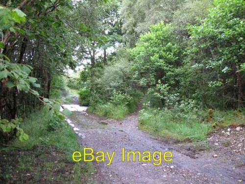 Photo 6x4 track old narrow - 6x4,