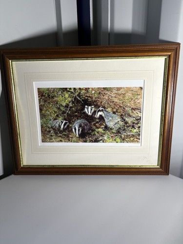 Badgers david shepherd - badgers,