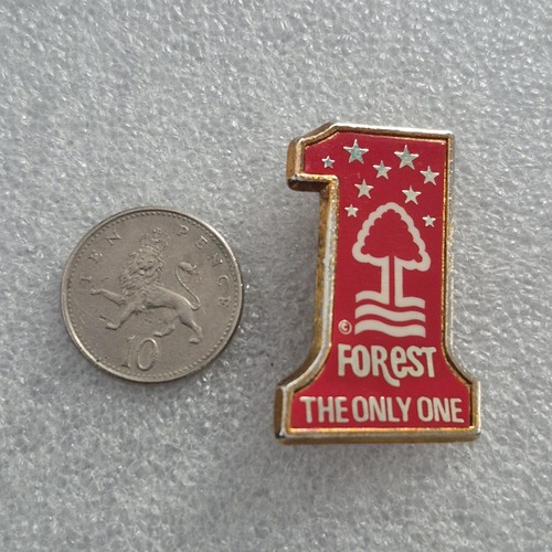Nottingham forest coffer badge - coffer,