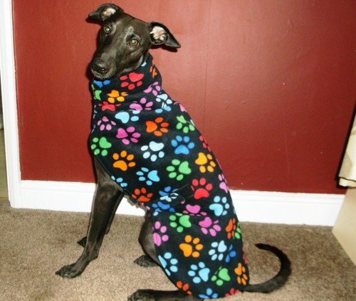 Whippet fleece dog coat - fleece,