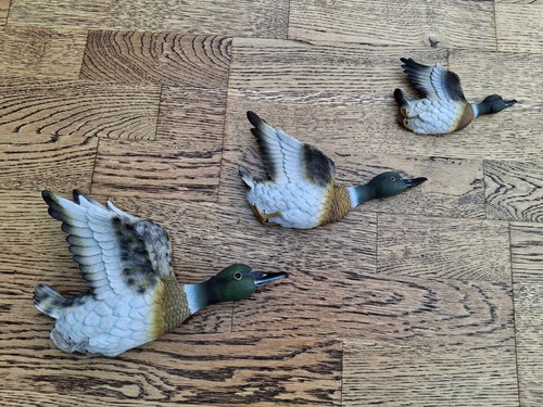 Flying mallard resin - mallard, wall