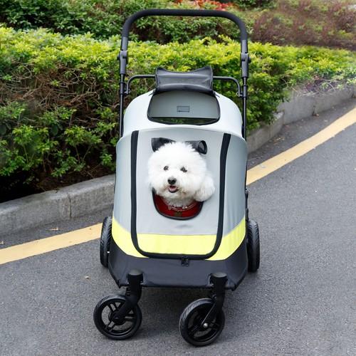 Bingopaw dog cat travel - dog,