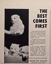 Bank Of Tokyo International