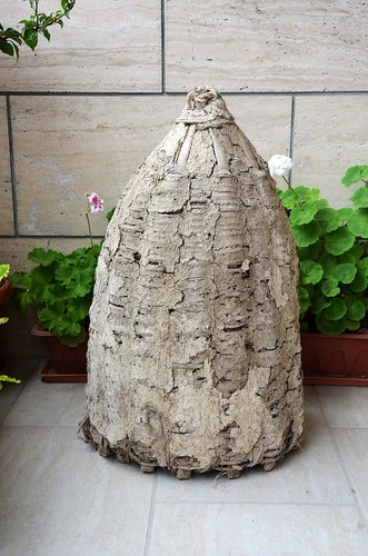 Antique french bee - bee, skep