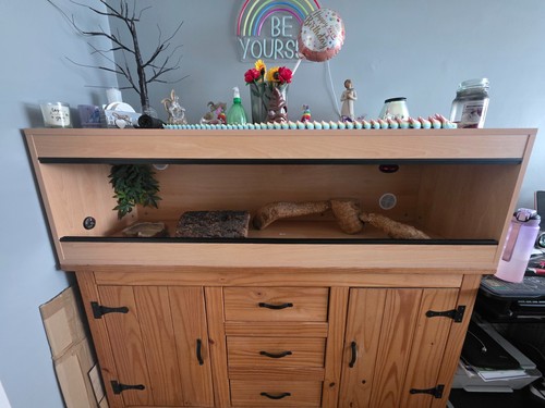 Vivarium 5ft for - reptile, or