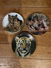 3 Tiger Plates with 22 Carat Gold Rims, 'Tomorrow's Hope', 'Tiger Cub', 'Tiger'