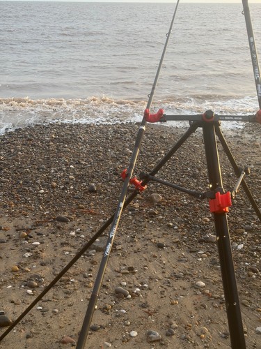 Ian golds akios sealegs - golds,