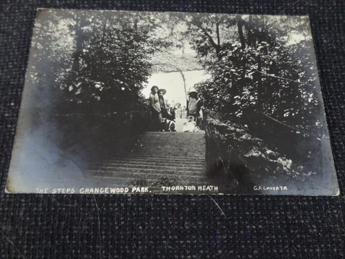 The steps grange wood - the,
