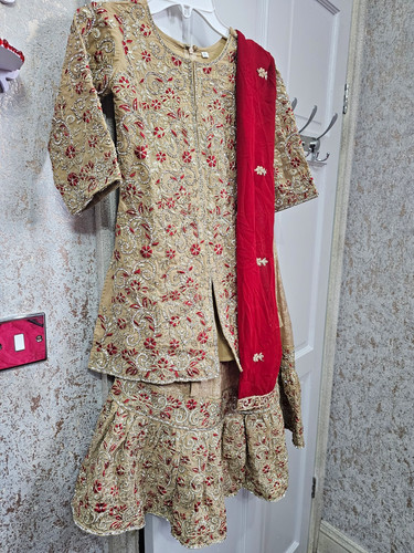 Beige embroidered lehenga - embroidered,