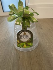 Plastic Ferrero Rocher Stand