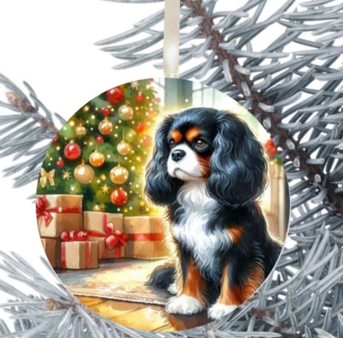 Cavalier king charles - cavalier, spaniel