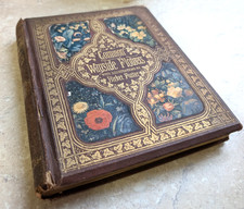 COMMON WAYSIDE FLOWERS COLOUR ILLUSTRATIONS by BIRKET FOSTER 1863