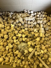 Oak Hole Plugs