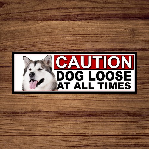 Alaskan malamute caution dog - alaskan,