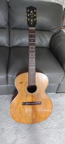 Hofner 495 guitar - , read