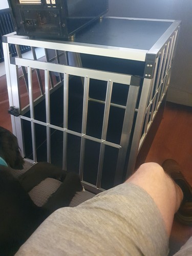 Dog transportation cage car - dog,