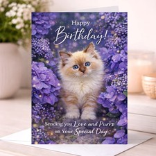 Cat birthday card - cat,