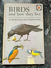 Birds & How They Live- Vintage Ladybird Book 1966 Priced At 2/6 Matt Boards
