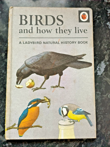 Birds how they live vintage - live-,