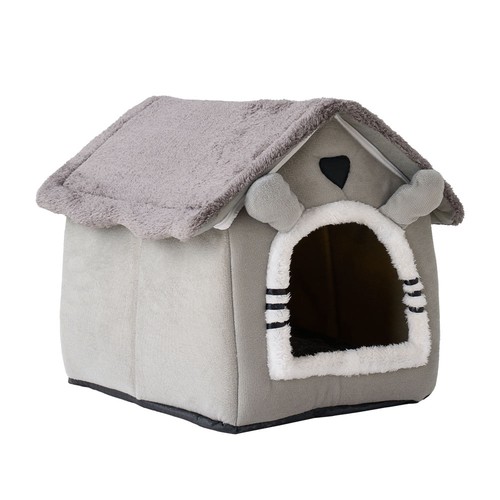 Pet cat kitten dog - pet,