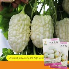 15 Apple White Skin Bitter