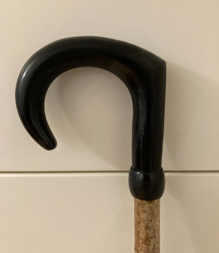 Lovely buffalo horn cumbria - buffalo,