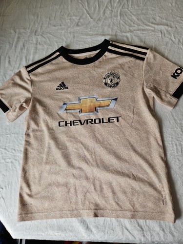 Manchester united football - manchester,