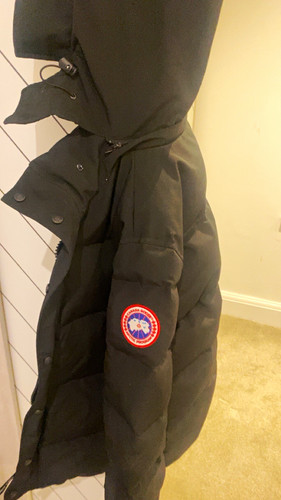 Canada goose arctic program - canada,