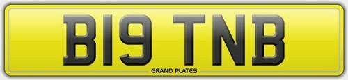 Big reg b19 tnb - number, plate