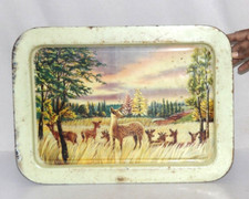 Old Tin Tray Serving Plate