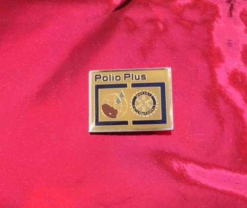 Rotary international pin - international,