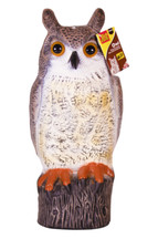 Life like static owl - , 17"