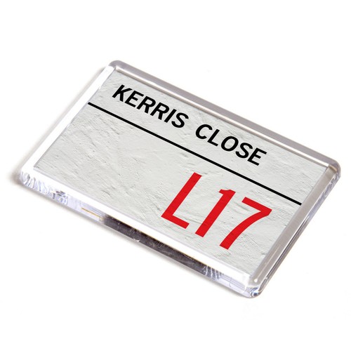 Fridge magnet kerris close - magnet,