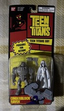 DC Teen Titans White Raven