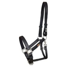 Equilibrium Stellar Safety Headcollar - Black Small / Pony. Field Safe