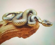 Brass SNAKE tiny Sweet