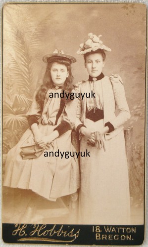 Cdv ladies dress - dress, fashion