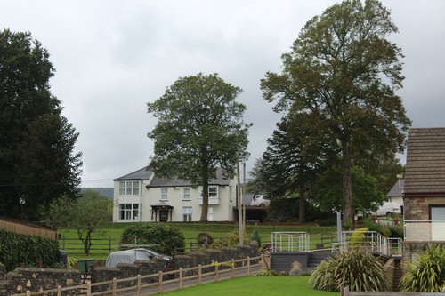 Photo 6x4 woodside - photo,