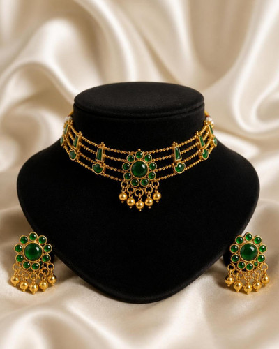 Indian traditional palakka - indian,