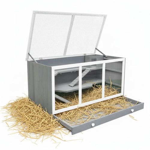 Hamster cage rodent - , mouse