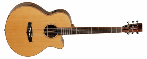 Tanglewood java tj4ce super - java,